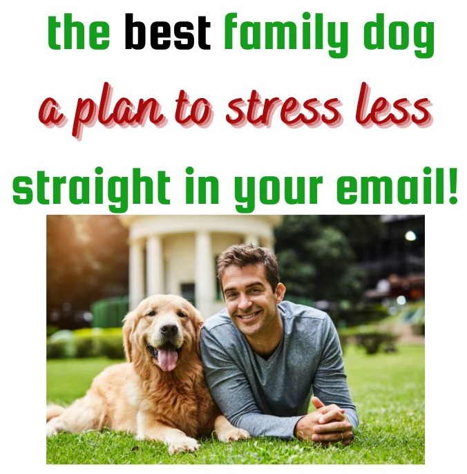 dog parent