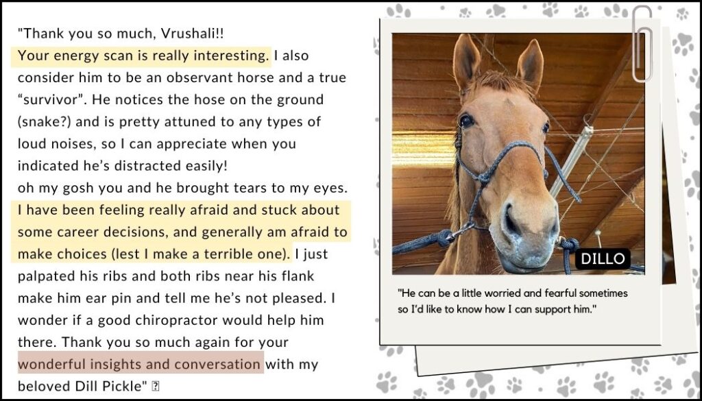 This horse wanted his human to be less afraid
