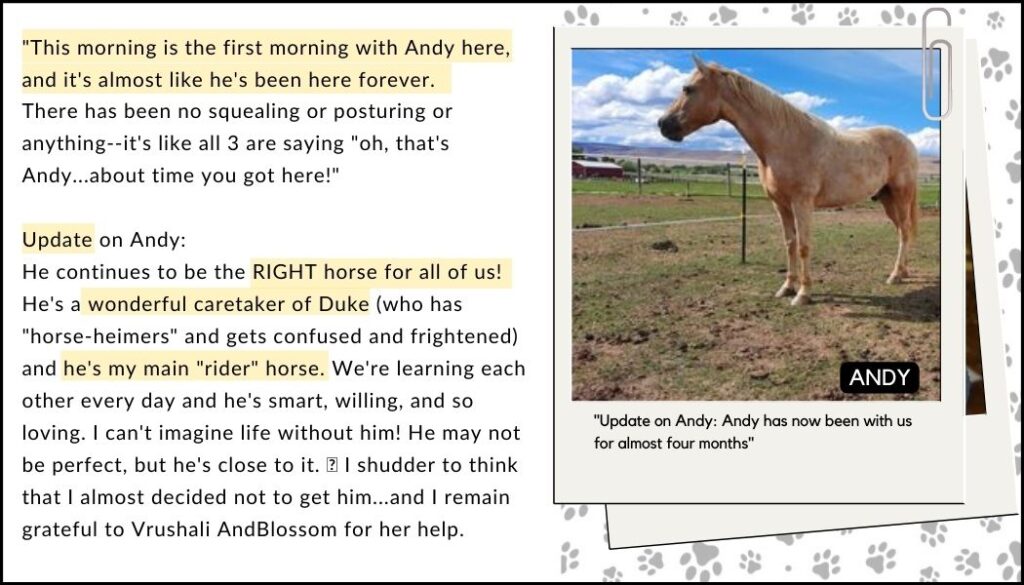 horse telepathy communication