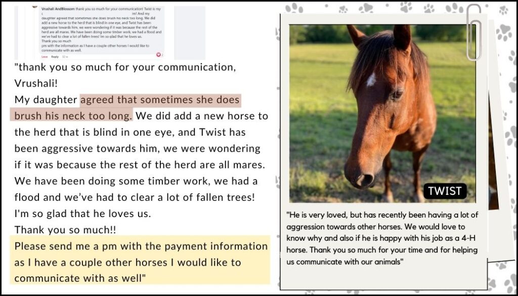 Horse and human loving bond