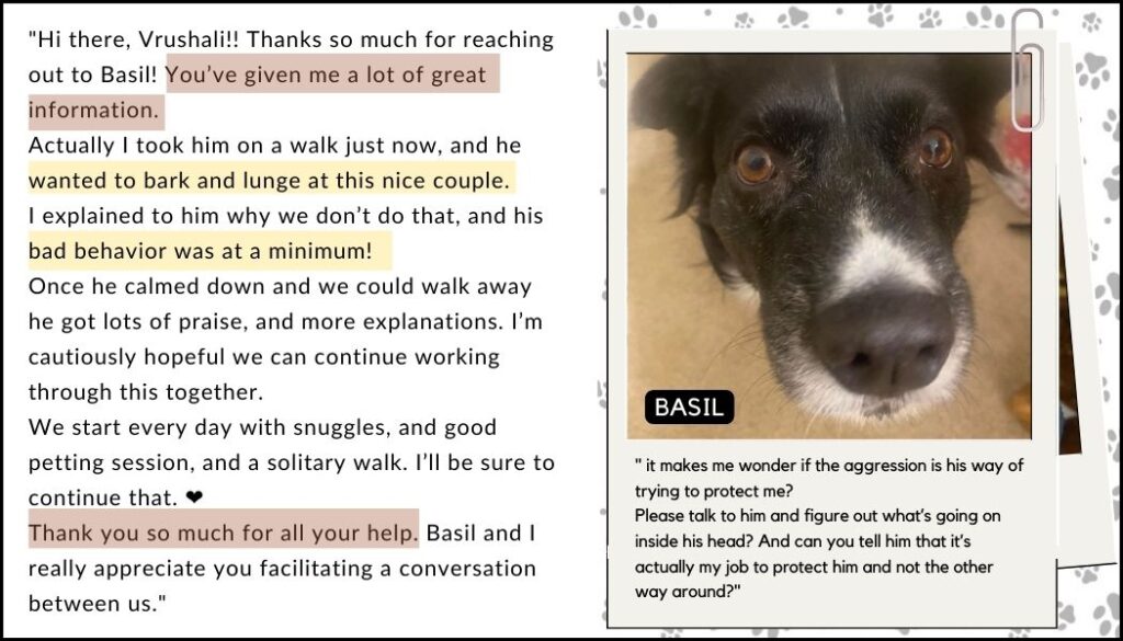 dog communication