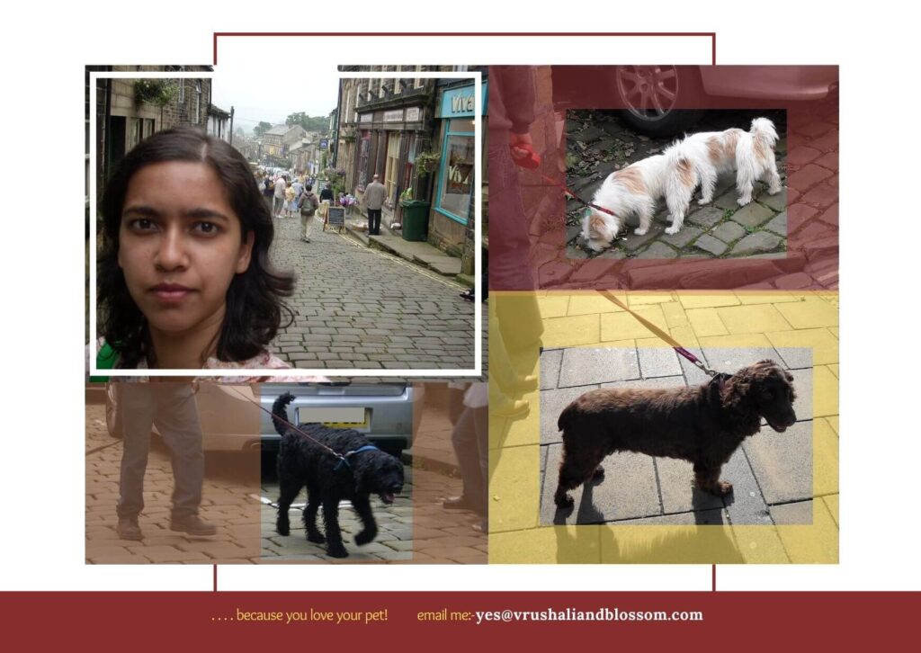 UK dogs