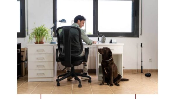 Busy executives with a dog