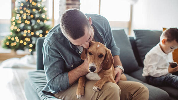 parenting a rescue dog
