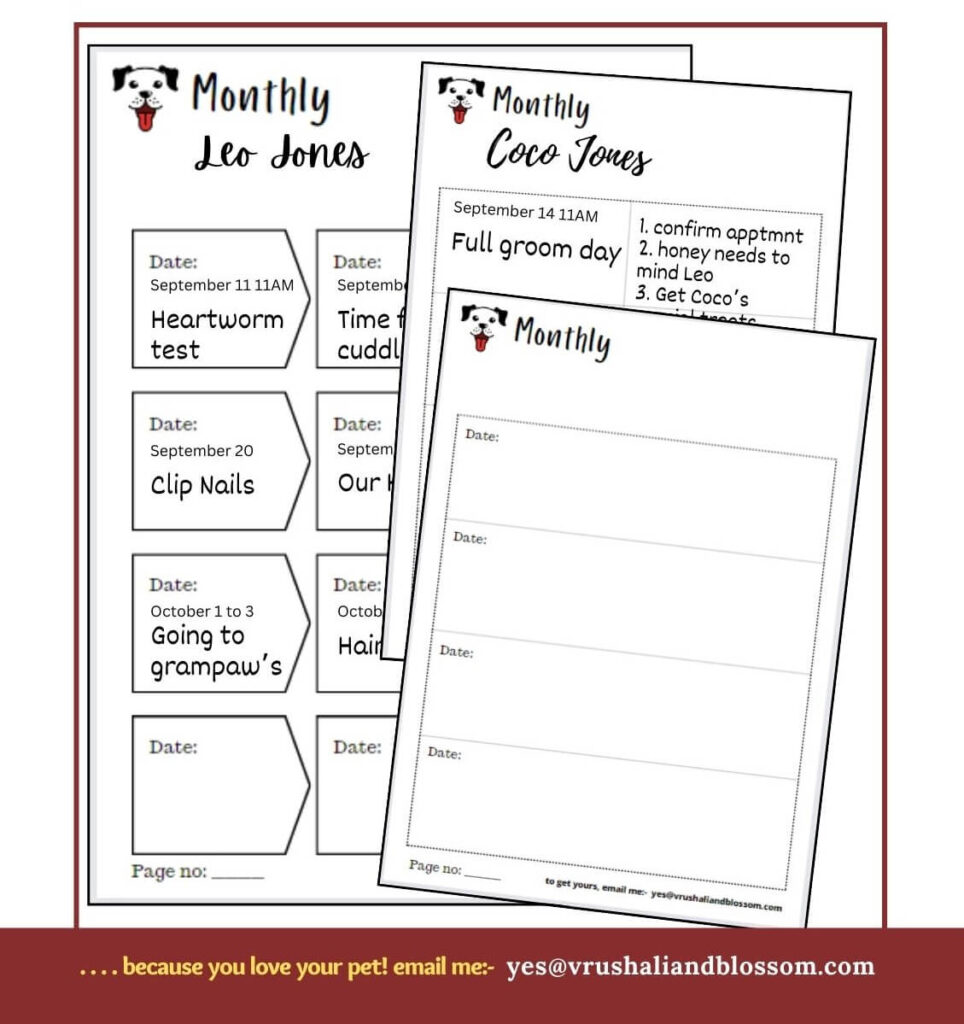 social engagement calendar template for dogs