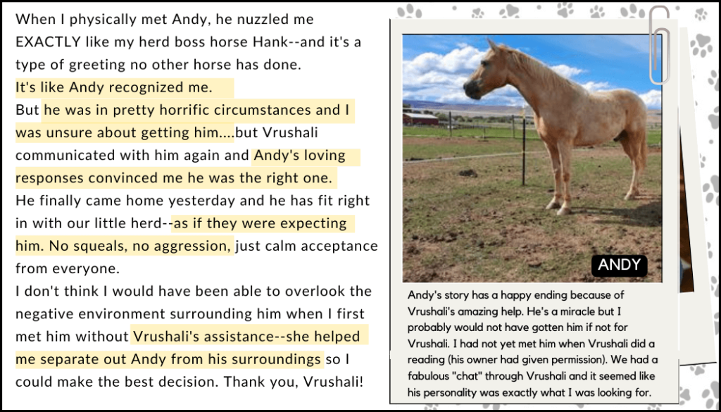 Testimonials Andy 01 TinyPanda