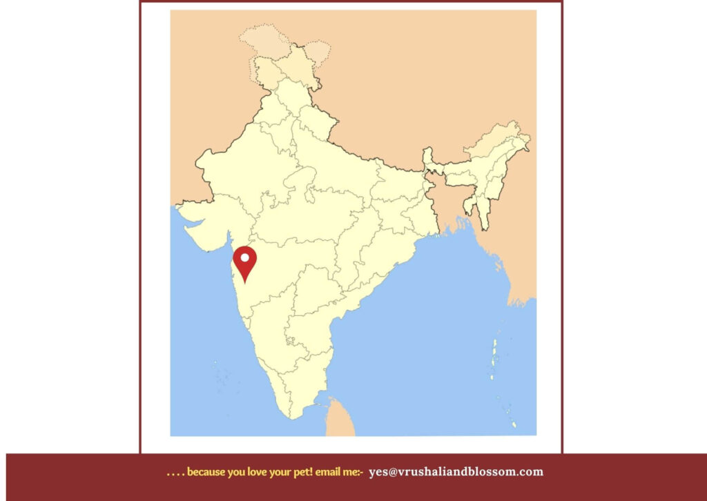 Blog FAQ Pune tinypanda