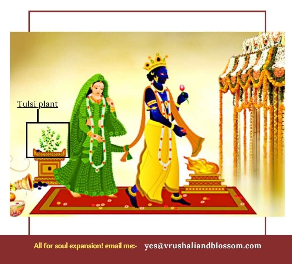 Tulsi pooja Diwali