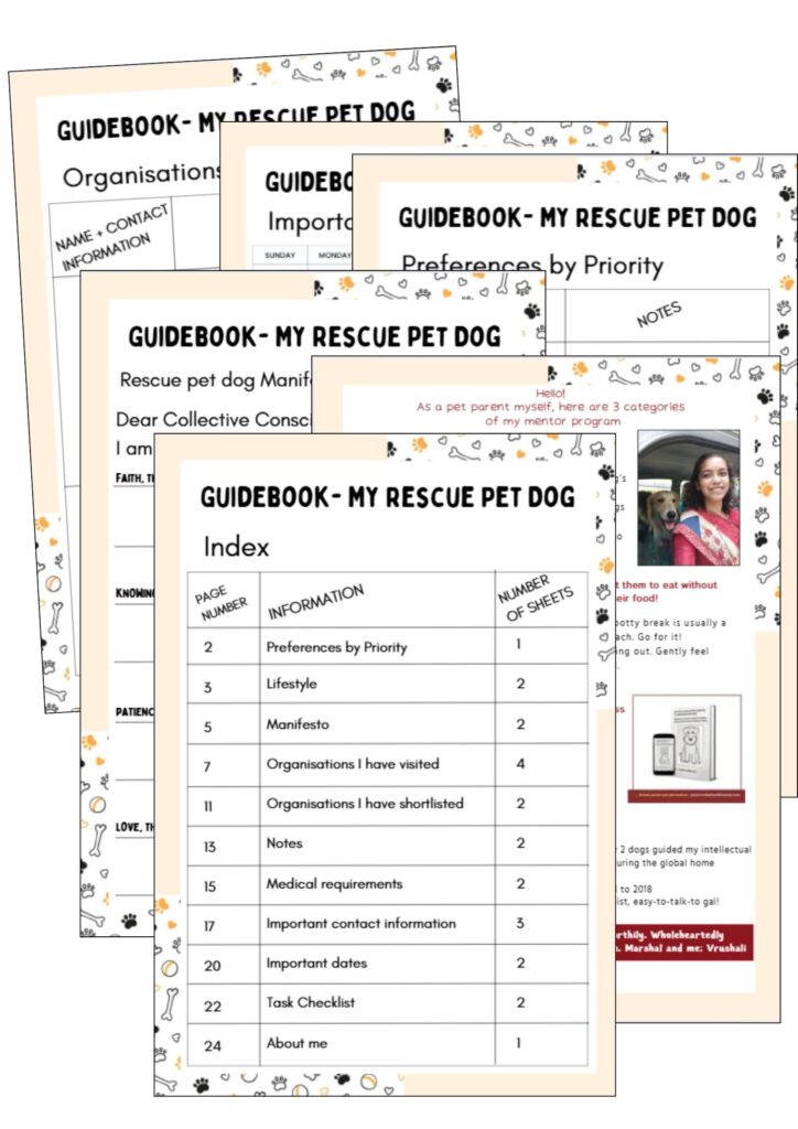 adopting an older dog tips