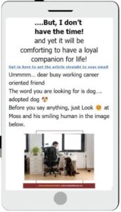 Smartphone HomePage email lead magnet optin to backlink to blog