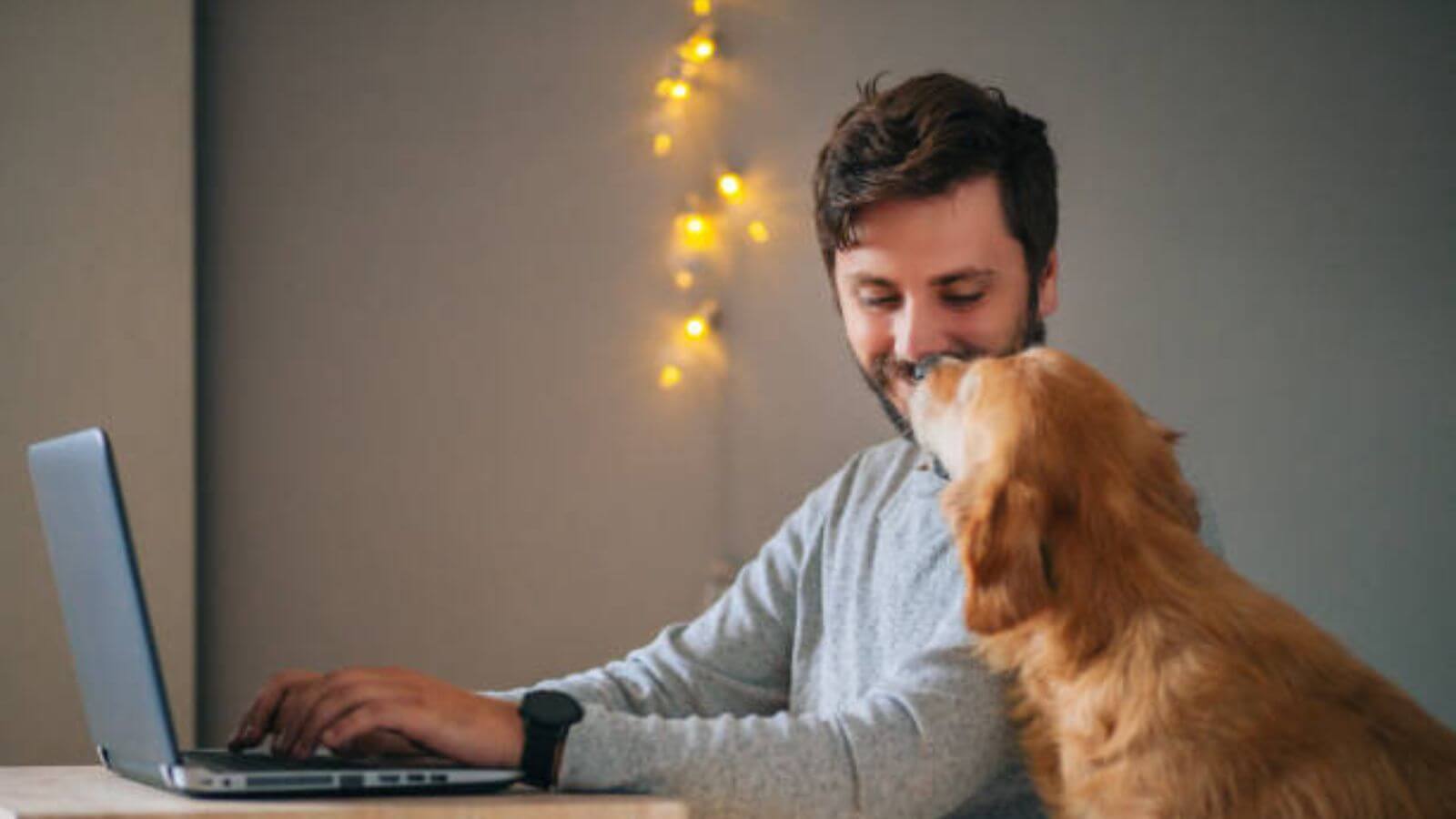man and dog looking at each other
