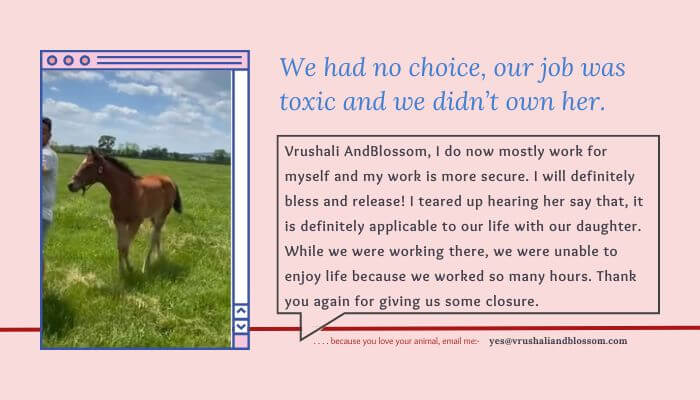 Horse Feedback for Alternate Therapies